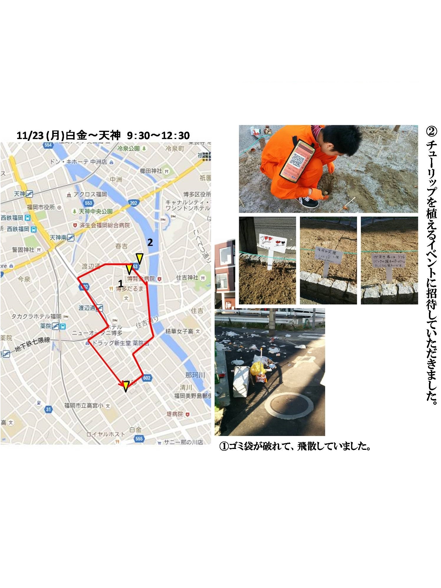 活動まとめ画像