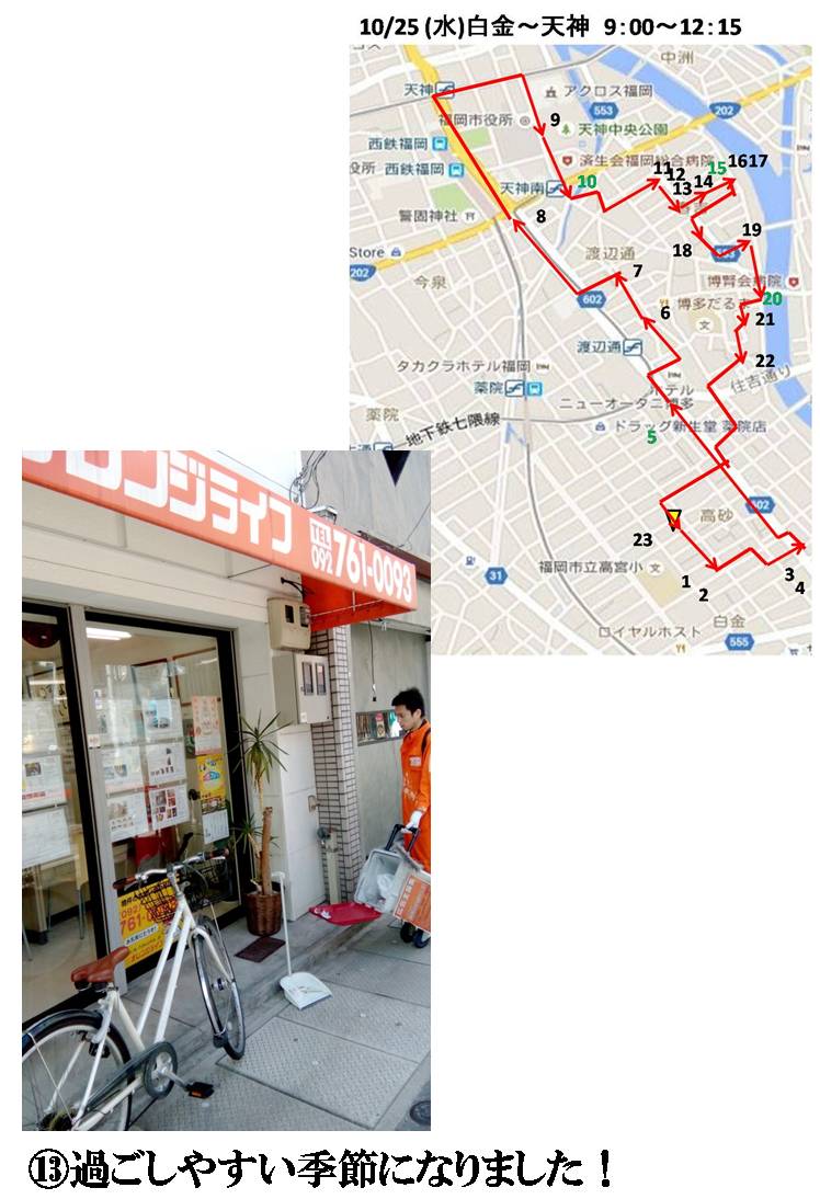 活動まとめ画像