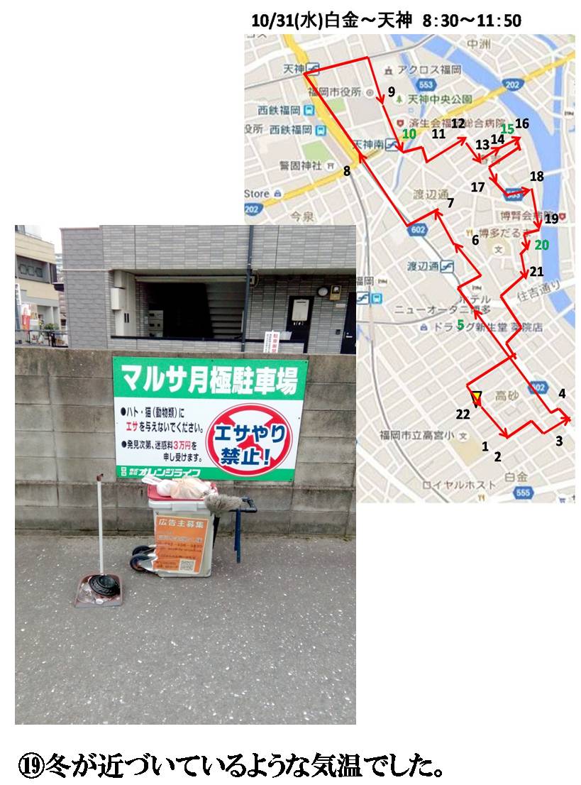 活動まとめ画像