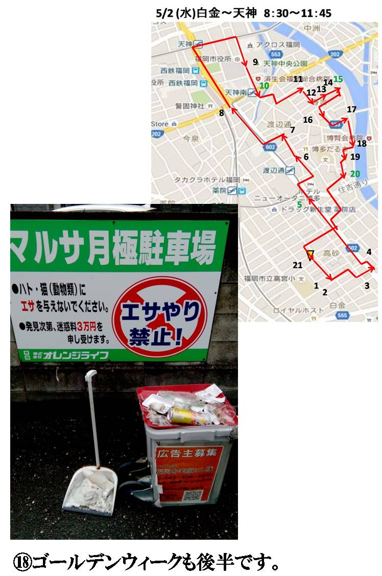 活動まとめ画像