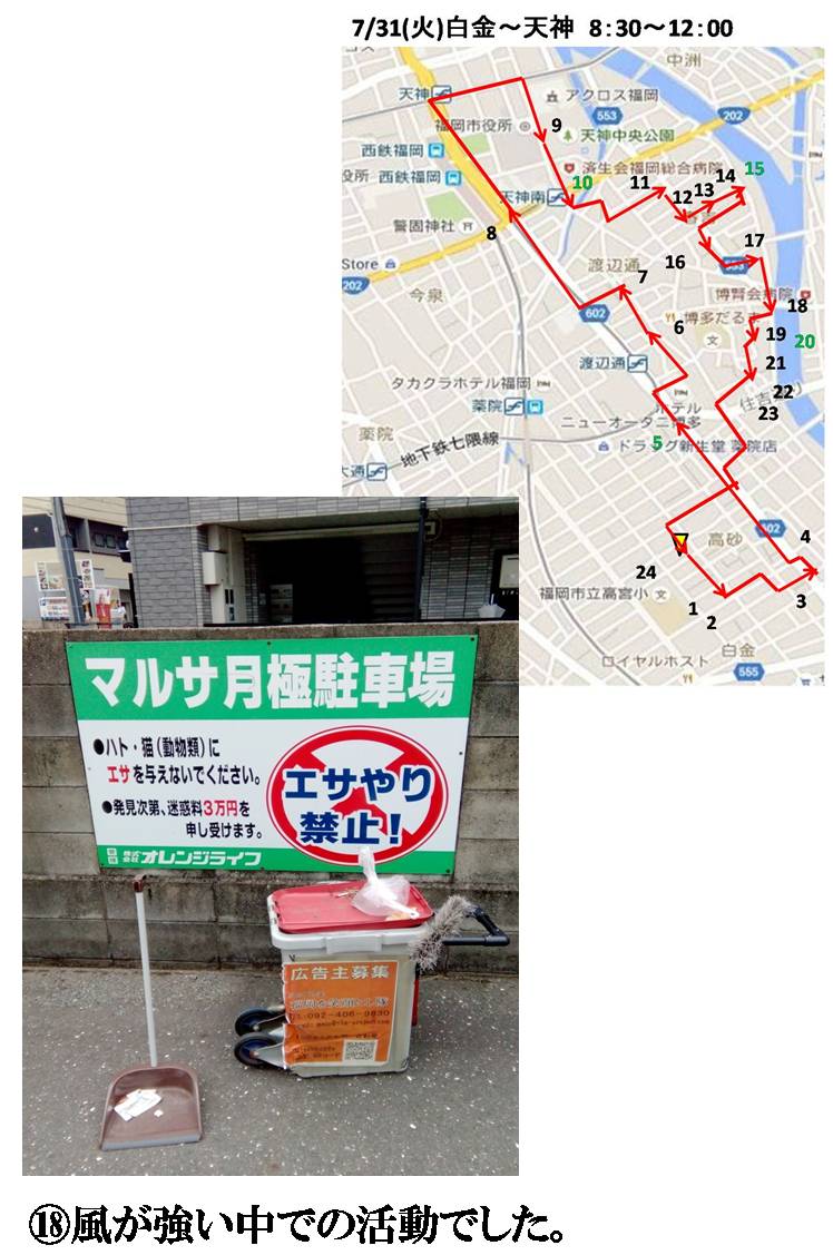 活動まとめ画像
