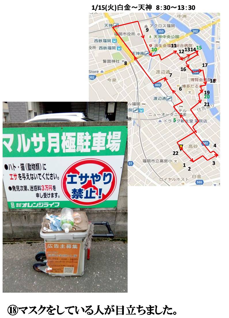 活動まとめ画像