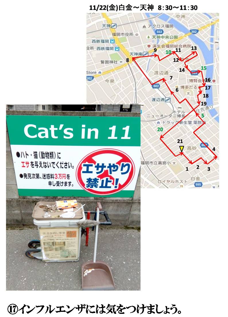 活動まとめ画像