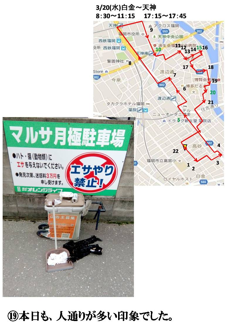 活動まとめ画像