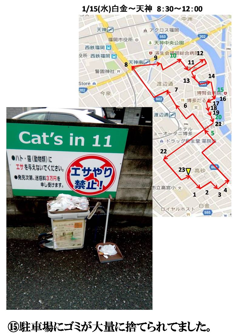 活動まとめ画像