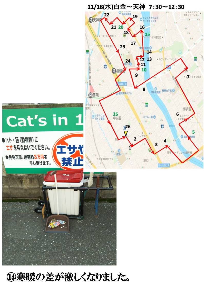 活動まとめ画像