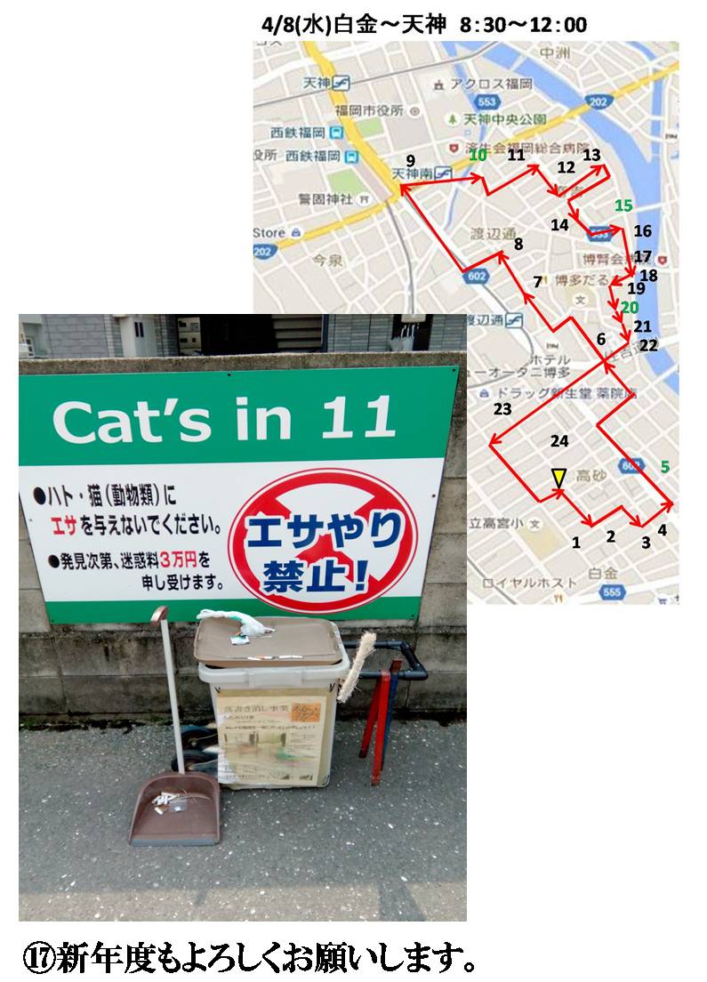 活動まとめ画像