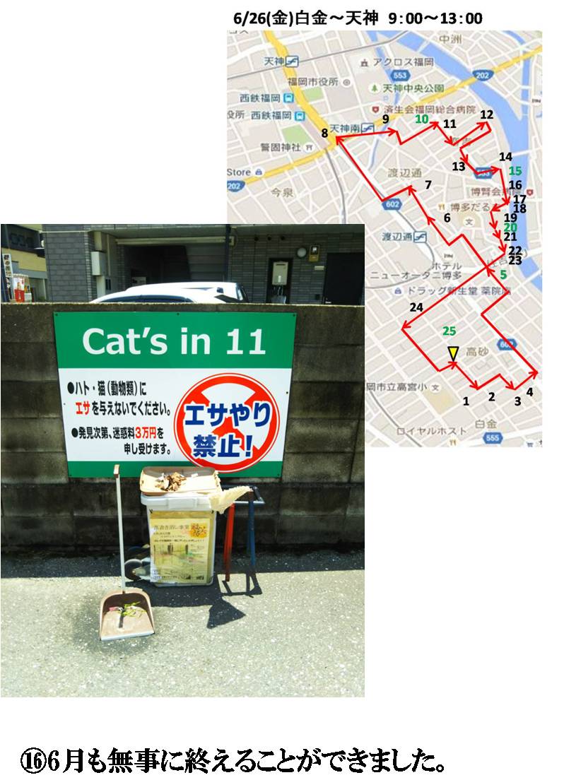 活動まとめ画像