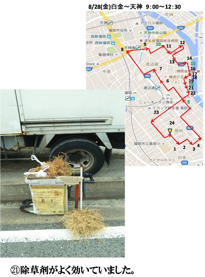 活動まとめ画像