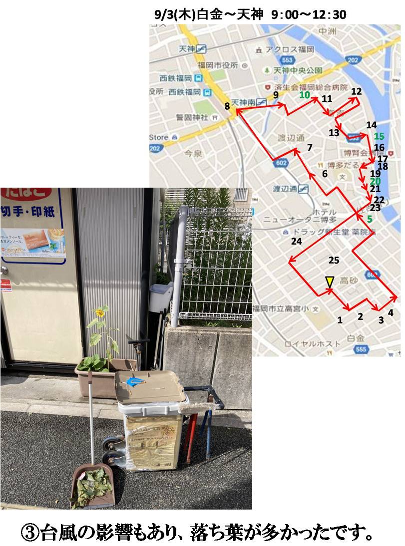 活動まとめ画像