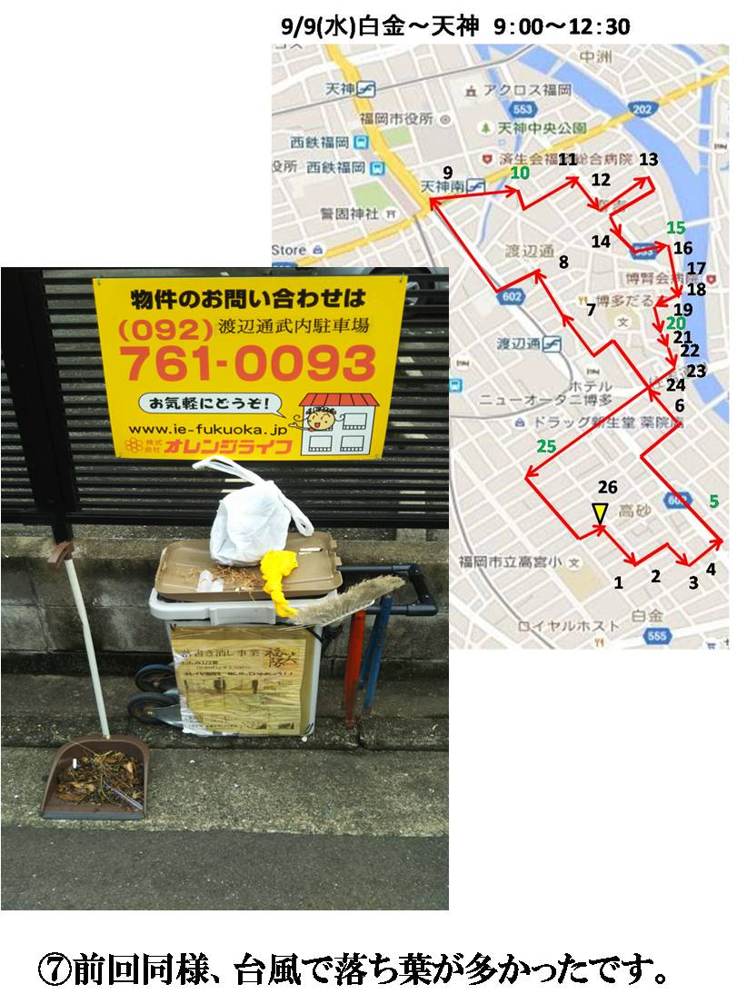 活動まとめ画像