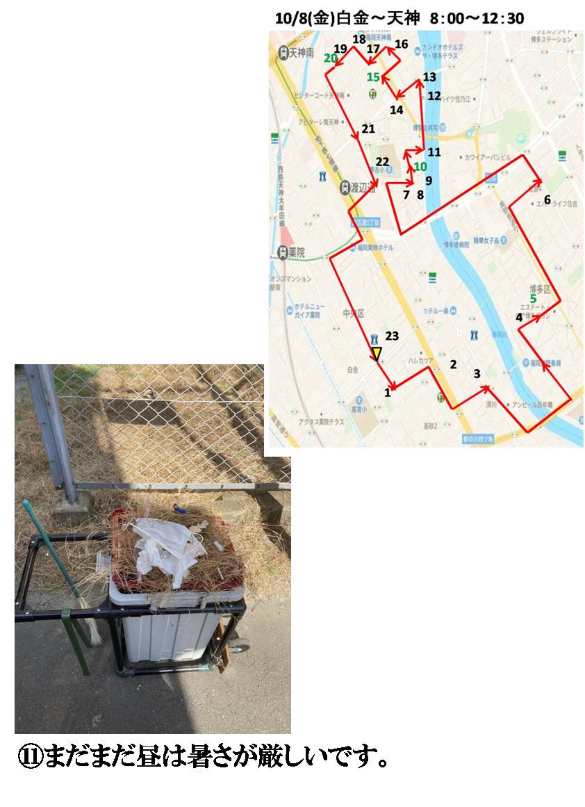活動まとめ画像