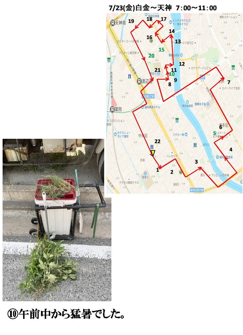 活動まとめ画像