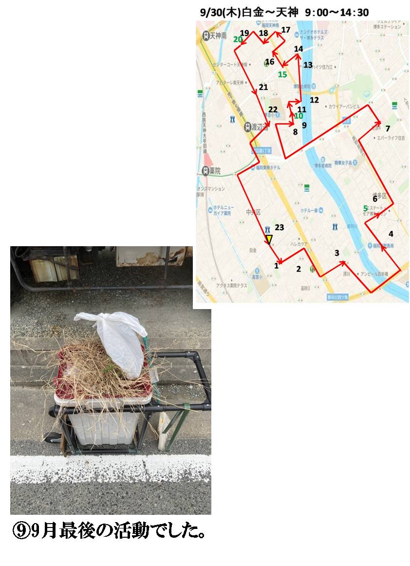 活動まとめ画像