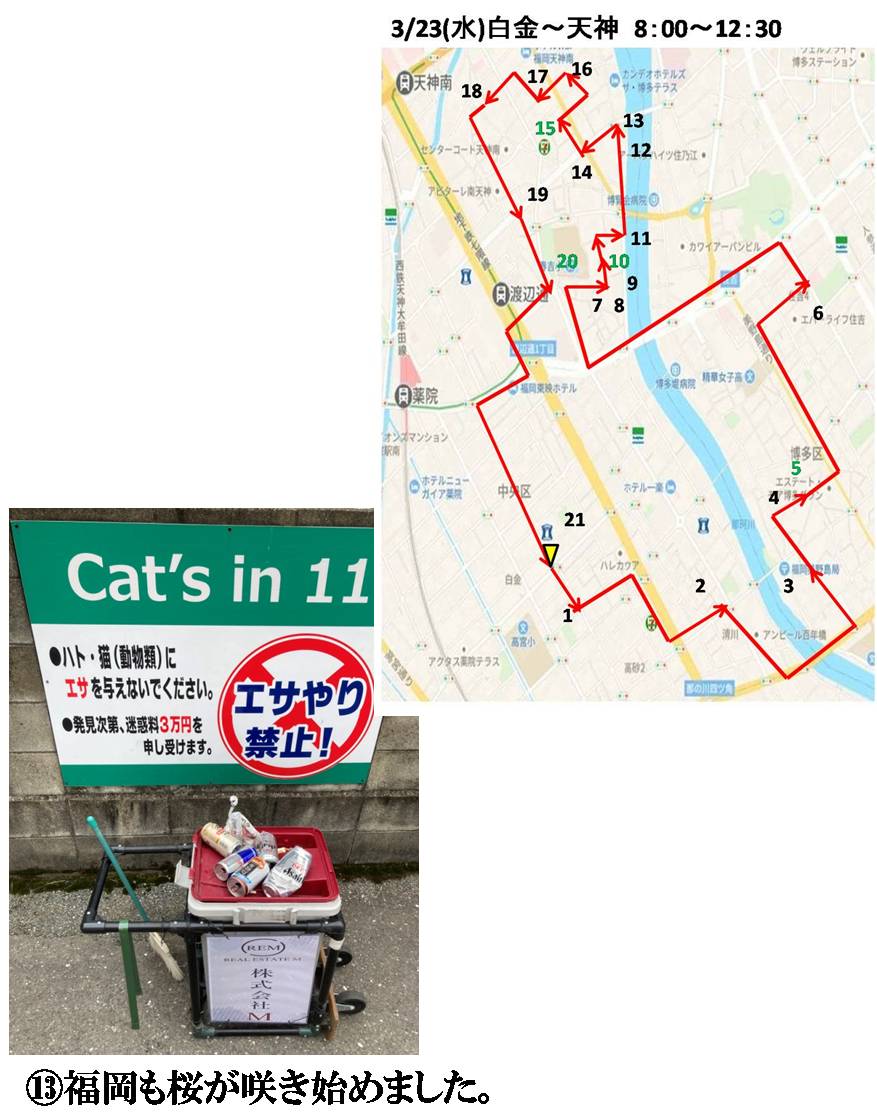 活動まとめ画像