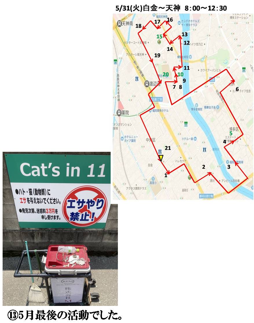 活動まとめ画像